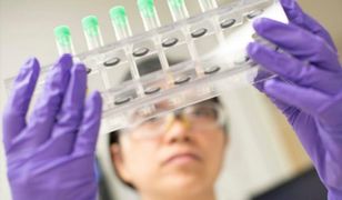 Fiasko polskiego leku na COVID-19? Są wyniki testów klinicznych