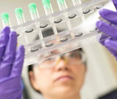 Fiasko polskiego leku na COVID-19? Są wyniki testów klinicznych