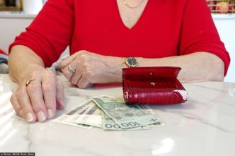 Nowa obietnica PiS. Członek RPP: efekt będzie natychmiastowy