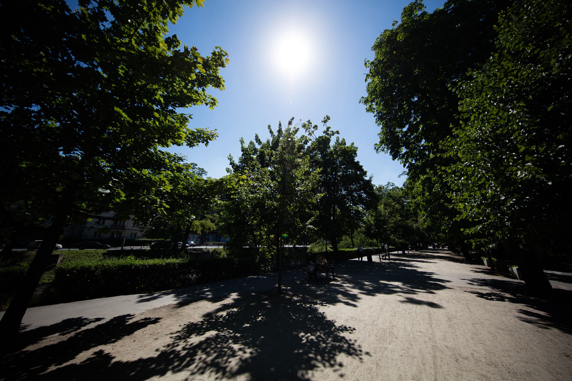Canon EOS 5Ds R + 11-24mm f/4 L - pierwsze zdjęcia przykładowe 22
