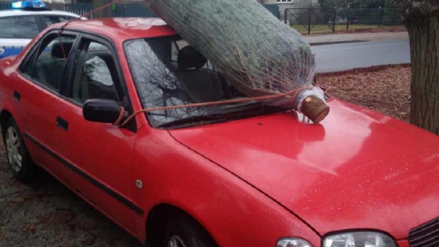 Zdjęcie ilustracyjne