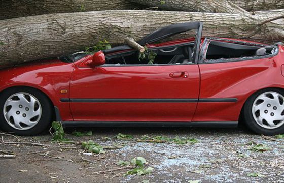 Ministerstwo planuje kampanię o niebezpiecznej jeździe. Potrzebna agencja