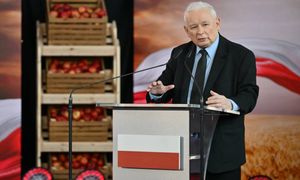 PiS chce paszportów dla żywności i skuteczniejszej kontroli importu