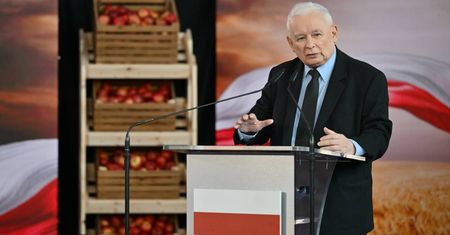 PiS chce paszportów dla żywności i skuteczniejszej kontroli importu