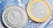 Większość firm chce przyjęcia euro. Ze względu na słabość złotego