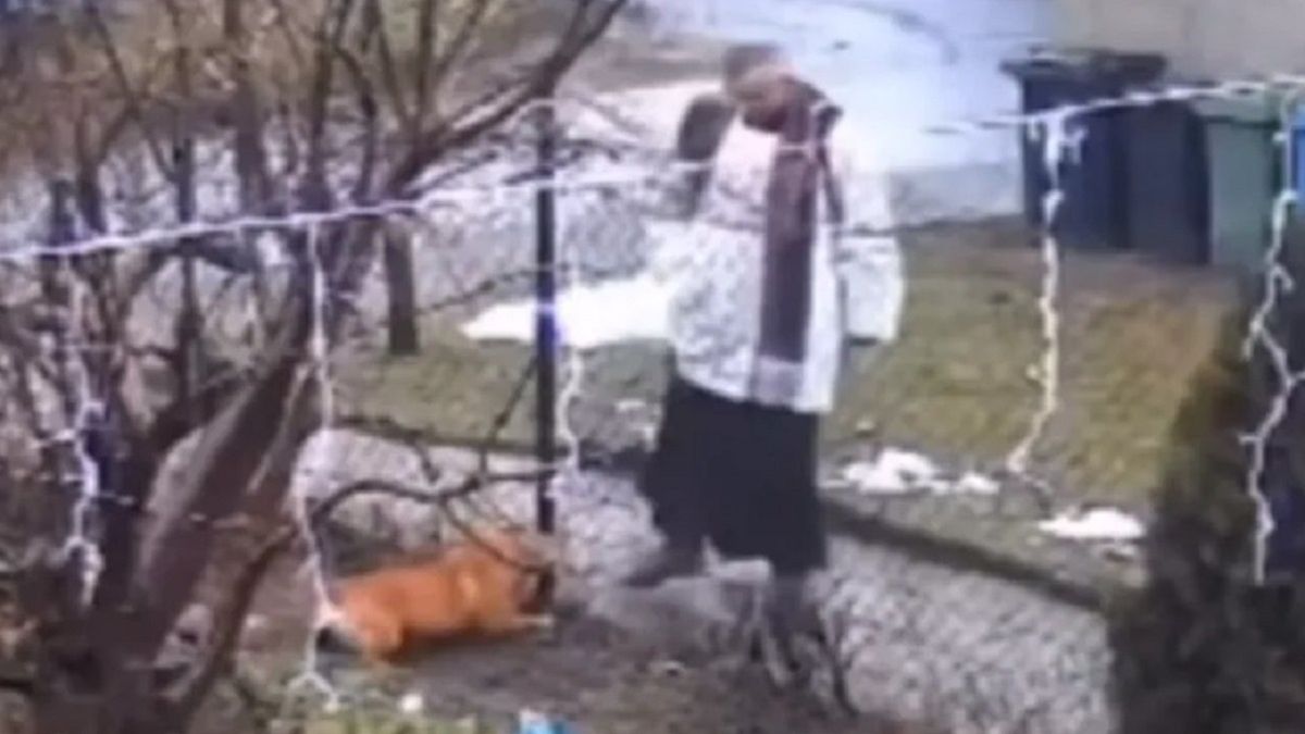 Nagranie z ataku księdza na psa.