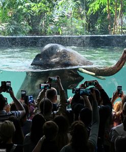 Promocje za oceny. Media Expert ma ofertę dla piątkowiczów, a zoo w Łodzi dla tych, którym nie poszło