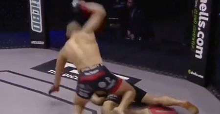 Obrzydliwe zachowanie. Gwiazdora MMA zalała krytyka. Zobacz nagranie