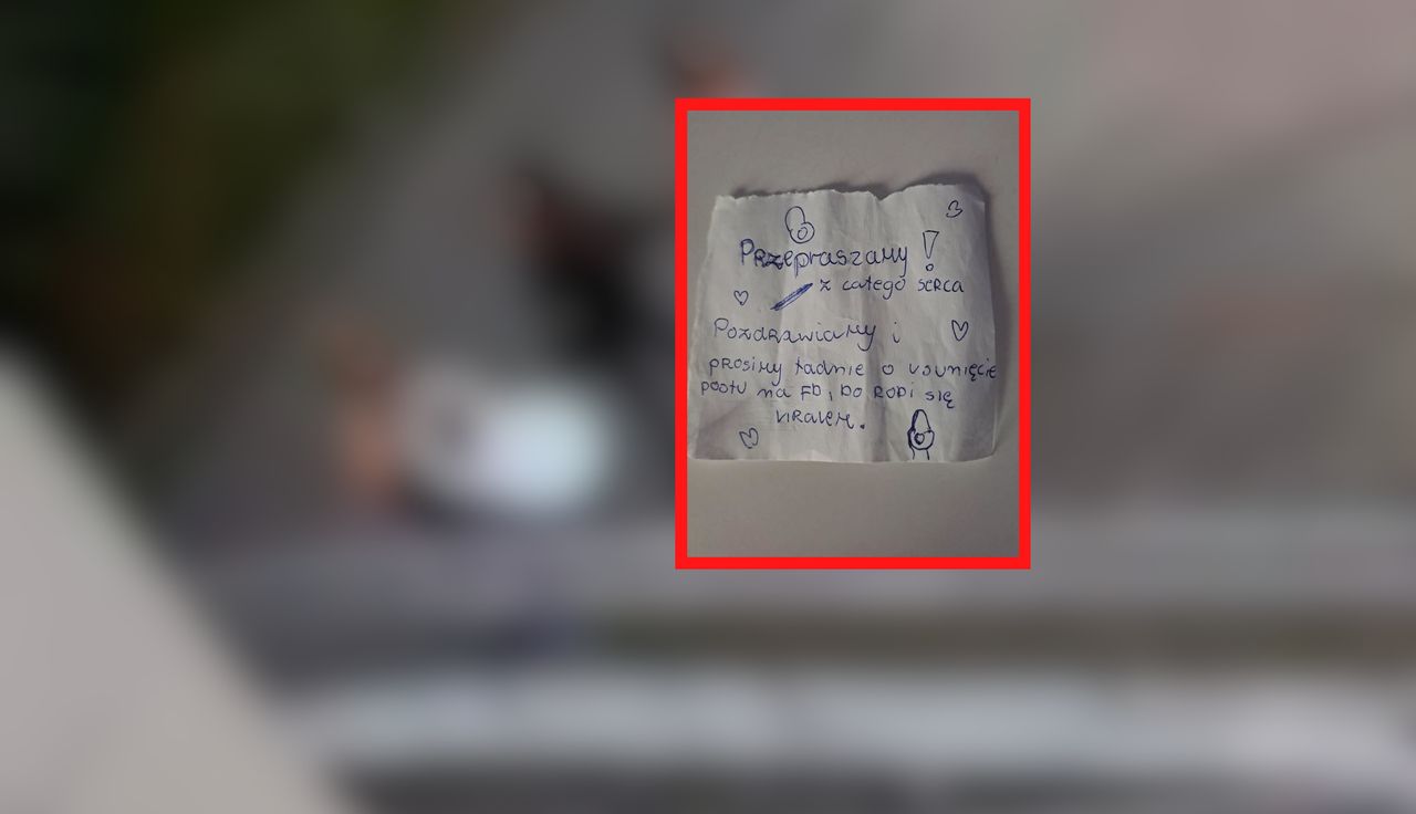 "Obrzydliwe". Nastolatki przyłapane. Tak, to deska klozetowa