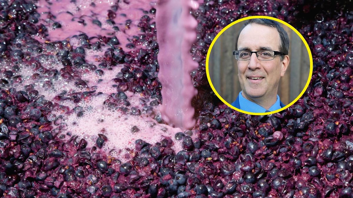 Delicje dla mózgu. Lekarz wymienia 3 produkty, które kochają neurony