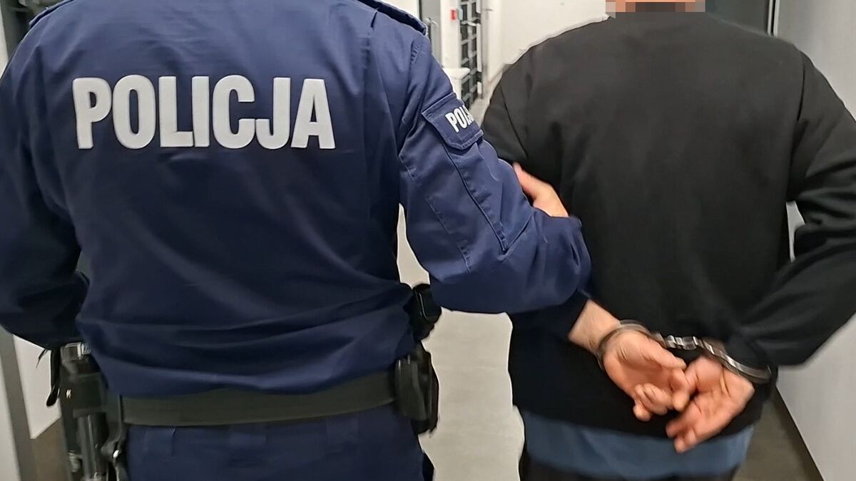policja
