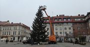 Szczecinek: Trwa montaż ozdób na jodle, która stanęła w centrum