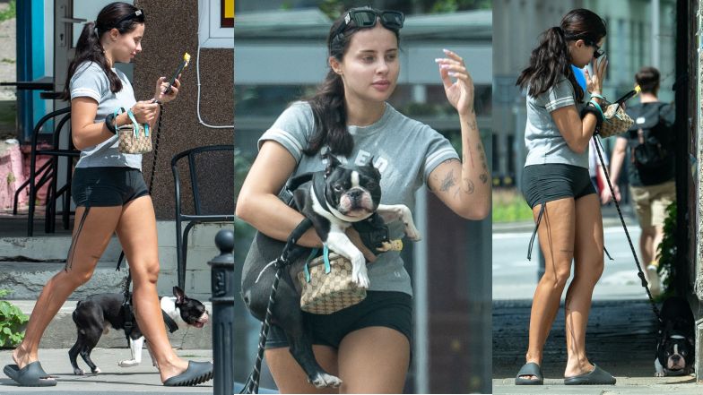 Fagata na spacerze z psem