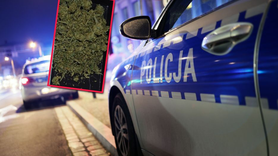 Diler w bmw. To miała być zwykła kontrola drogowa