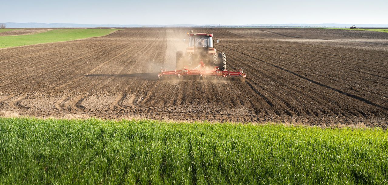 Priorytety rządu w rolnictwie 2025 wyznaczone – Wieś musi zostać wsią