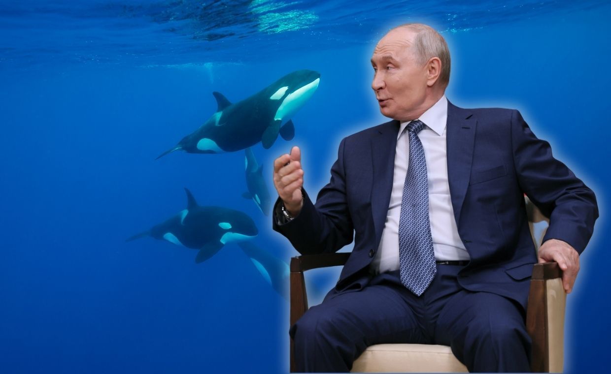 Putin tłumaczy wojnę w Ukrainie metaforą łącuchu pokarmowego. Orki, niedźwiedzie i absurdy propagandy