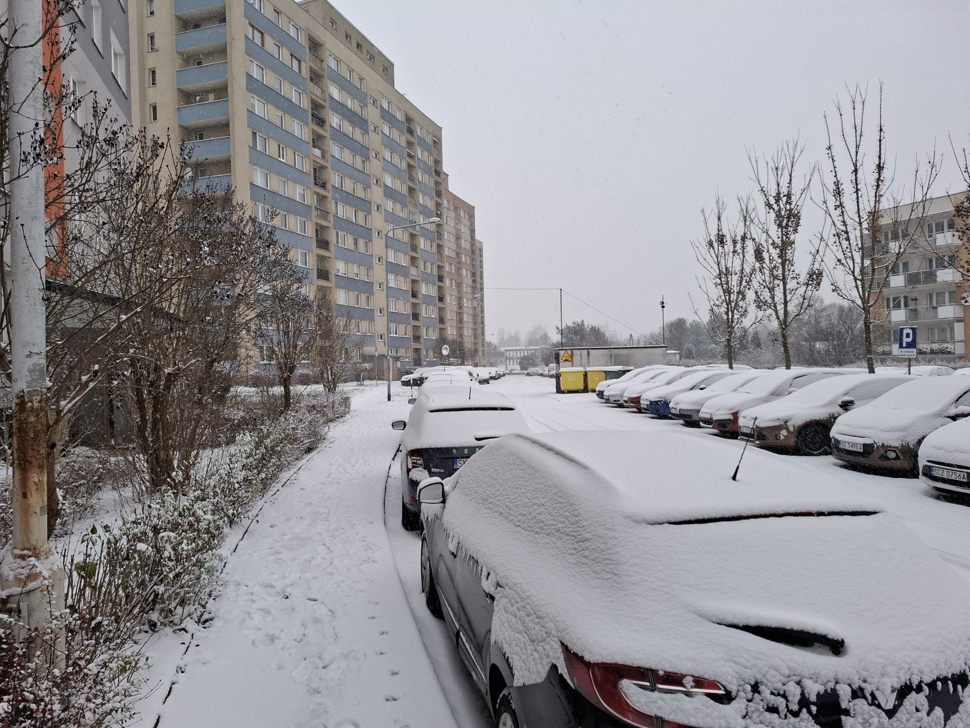 Atak zimy w Częstochowie, 23.11.2025