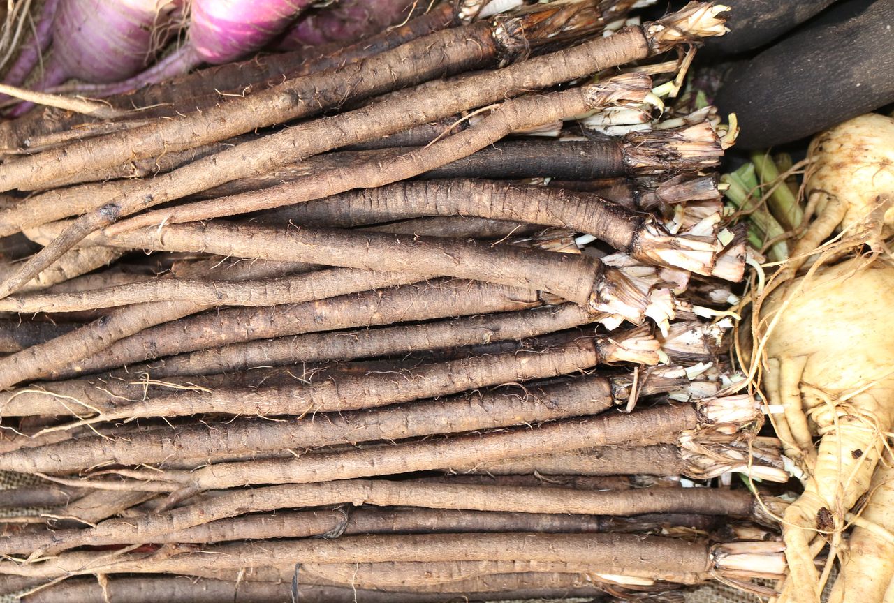 Nasi przodkowie jedli zamiast ziemniaków. Dziś mało kto kojarzy nazwę i smak