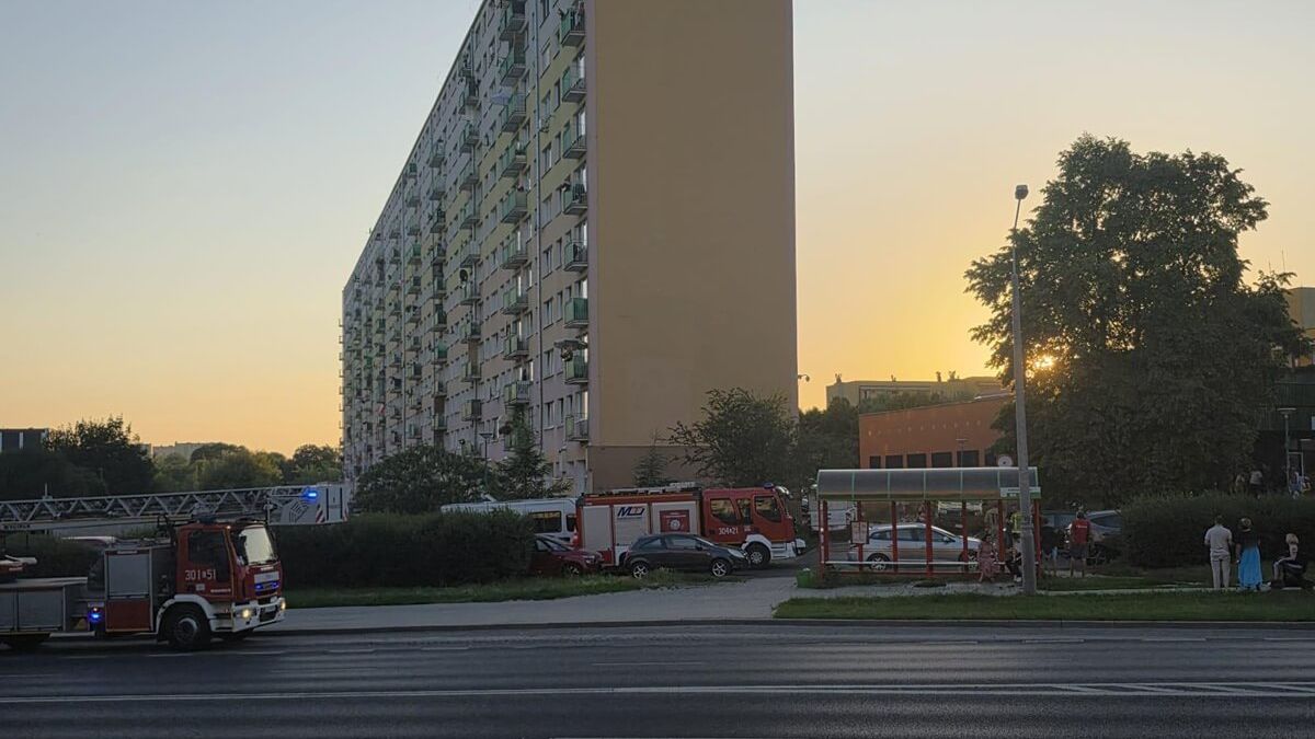 Akcja służb w bloku przy ul. Marii Koryznowej
