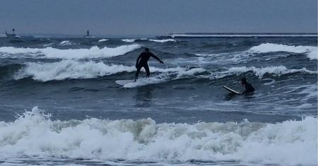 Nagrała ich na plaży. Spacerowicze przystawali, aby zobaczyć