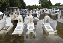 Alpy. Zwłoki wymyte z cmentarzy podczas powodzi we Włoszech i Francji