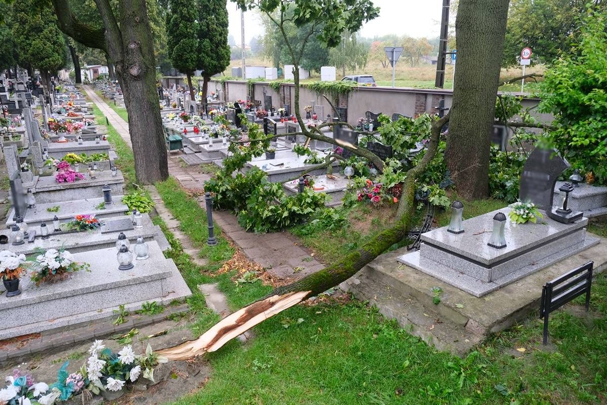 Konar uszkodził pomniki na cmentarzu przy ul. Unickiej w Lublinie