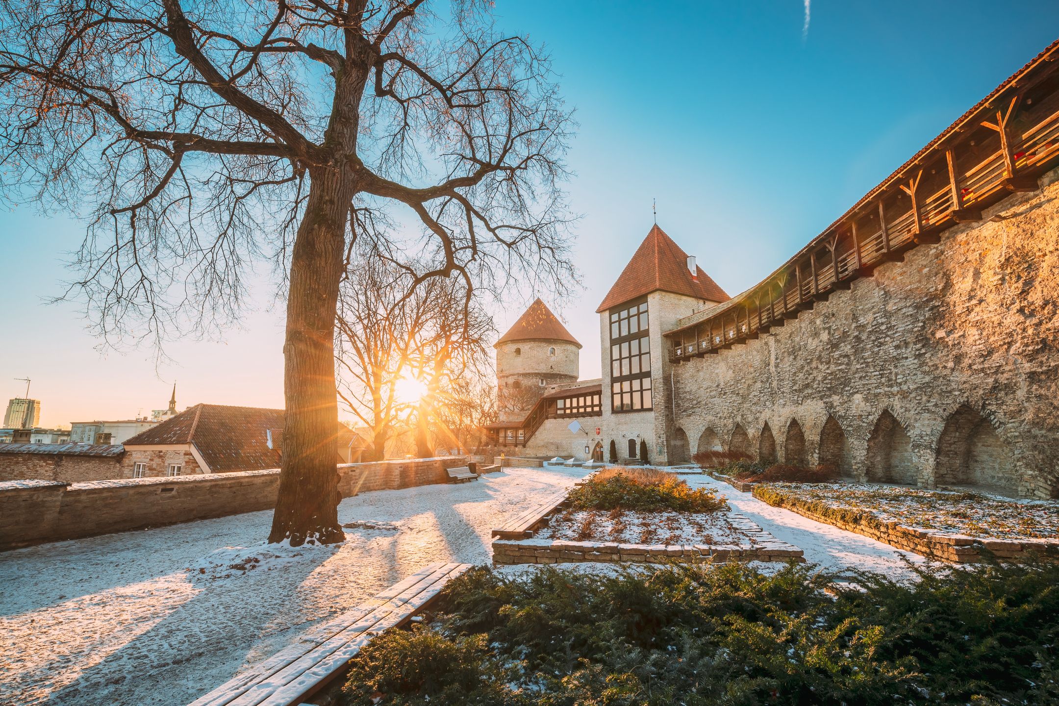 Zimowy wschód słońca w Tallinie 