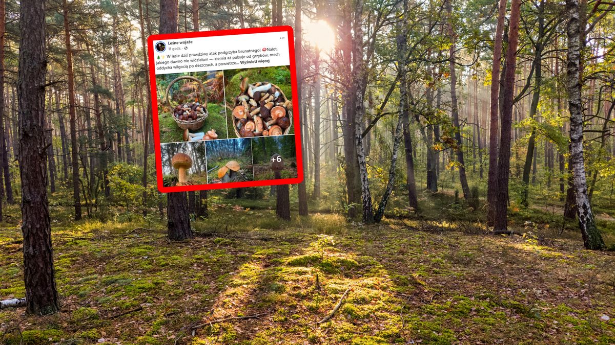 Pokazała owoce wyprawy do lasu.