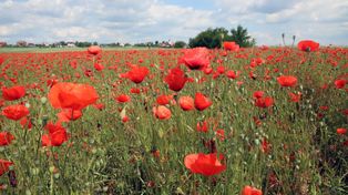 Rolnicy zyskali rok, ale pracy jest sporo. Tak zmienią się obowiązki