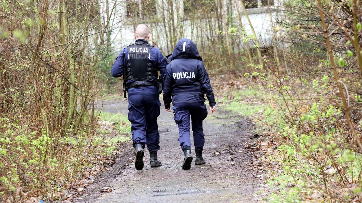 Na terenie by?ego radzieckiego szpitala w Legnicy znaleziono zw?oki m??czyzny
25.04.2022 LEGNICA LASEK ZLOTORYJSKI POLICJA RADIOWOZ KARETKA ZWLOKI POLICJANT   GAZETA WROCLAWSKA  GAZETA WROCLAWSKA PIOTR KRZYZANOWSKI/POLSKA PRES GRUPA?