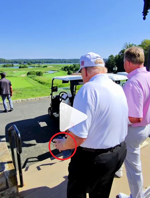 Siniak na lewej dłoni Trumpa