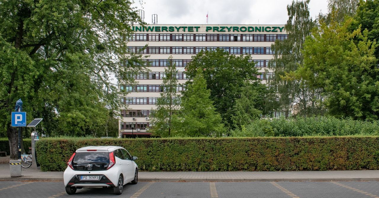 Dziekan miał molestować studentki. Uniwersytet Przyrodniczy w Poznaniu podjął kolejne kroki. "Został odsunięty od prowadzenia zajęć"