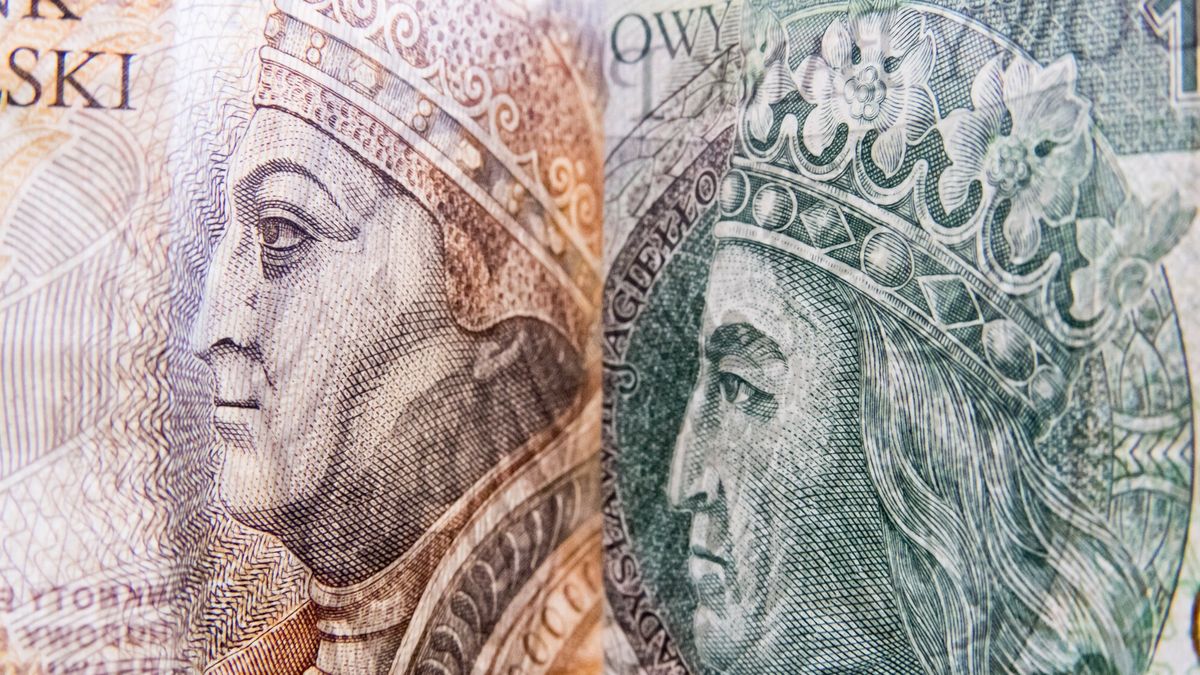 Przedsiębiorca, który decyduje się na ryczałt od przychodów ewidencjonowanych w 2022 roku, musi wiedzieć, jaką stawkę zastosować przy rozliczaniu się ze swojej działalności.