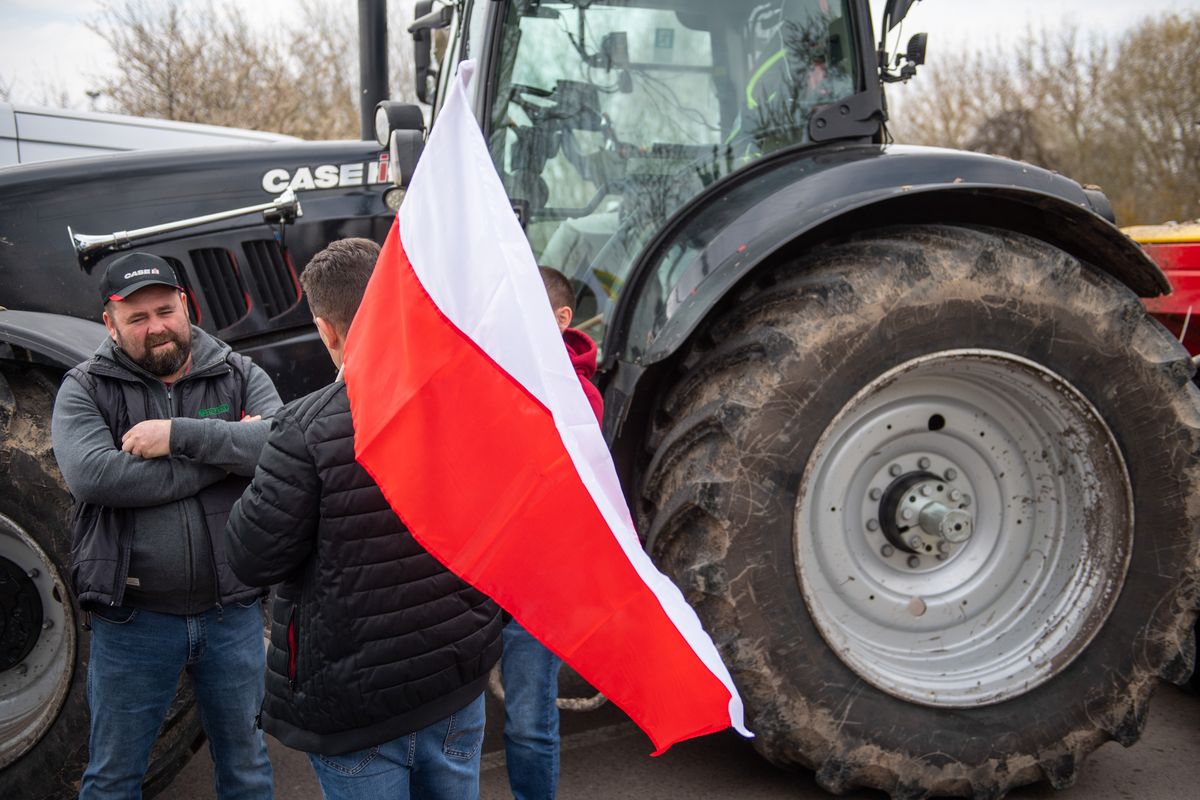 Polscy rolnicy protestują z powodu ukraińskiego zboża, którego transporty zalały Polskę