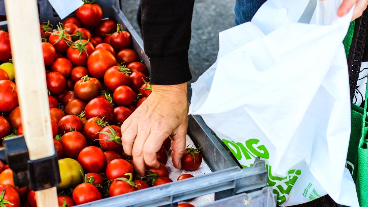 Pomidory drożeją a ich uprawa staje się nieopłacalna, niedługo mogą stać się towarem luksusowym 