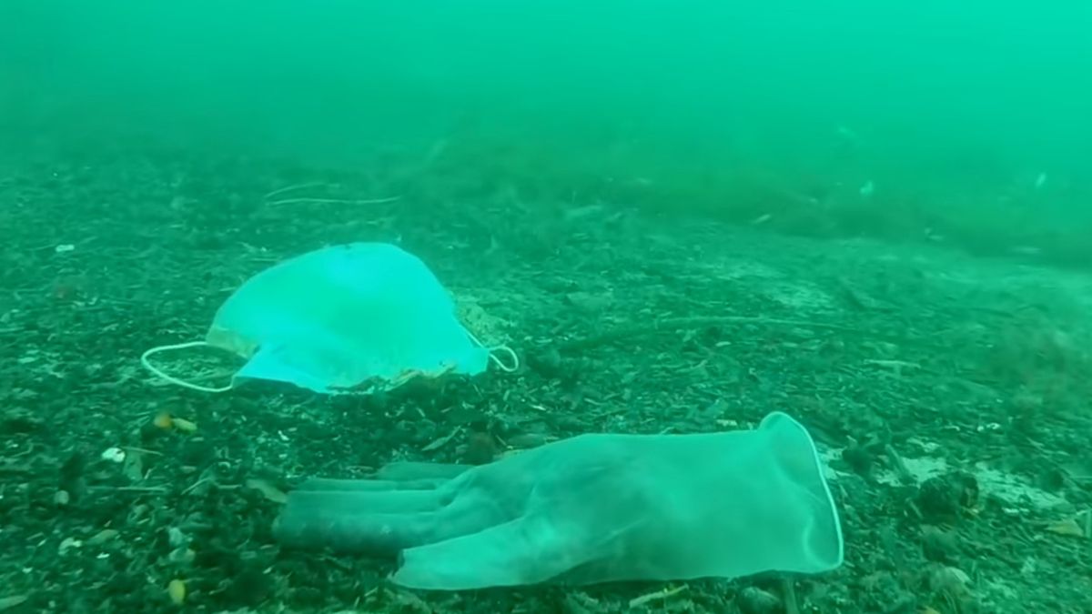 Środki ochrony osobistej są zagrożeniem dla zwierząt morskich