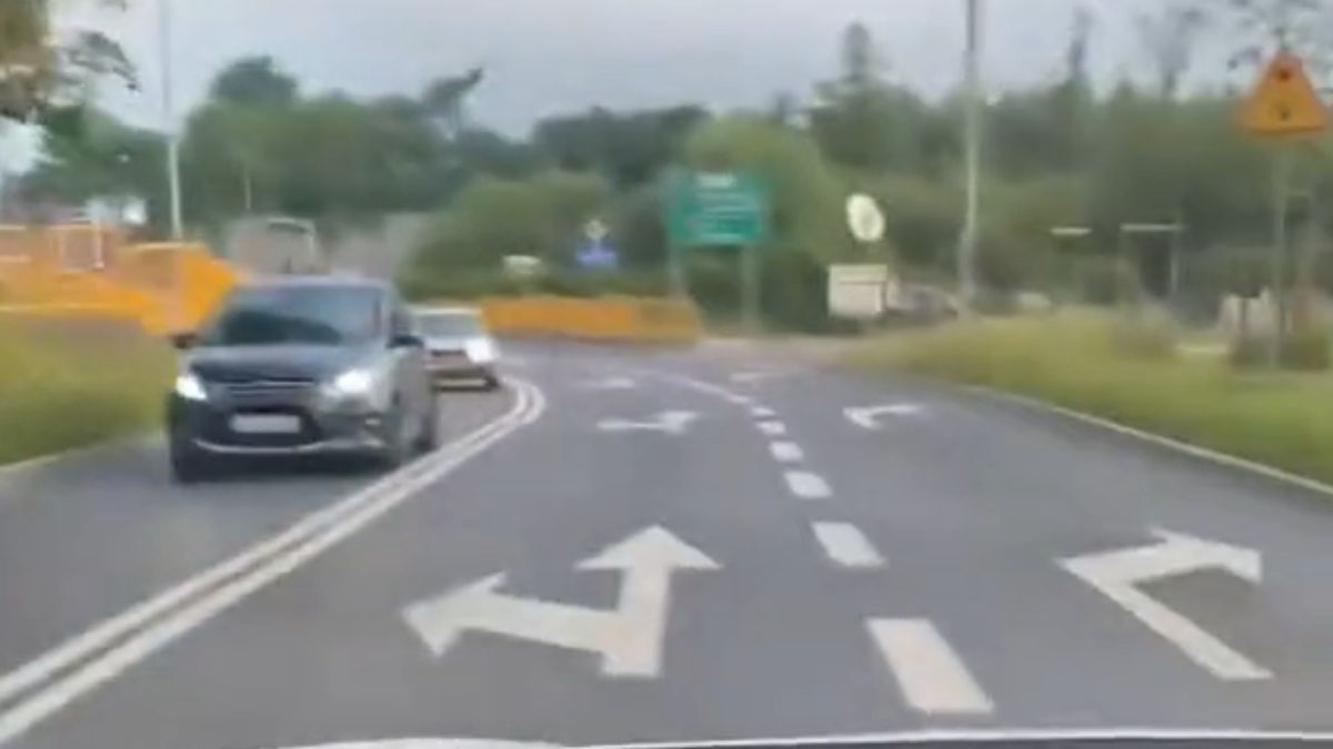 Łoś przeszedł tuż obok jego samochodu