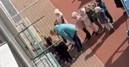 Szokujące nagranie. Nauczycielka szarpała przedszkolaka