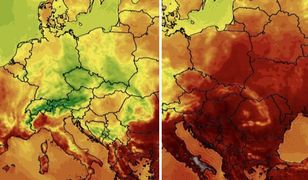 Po kilku dniach wielka zmiana. Różnicę widać na mapach