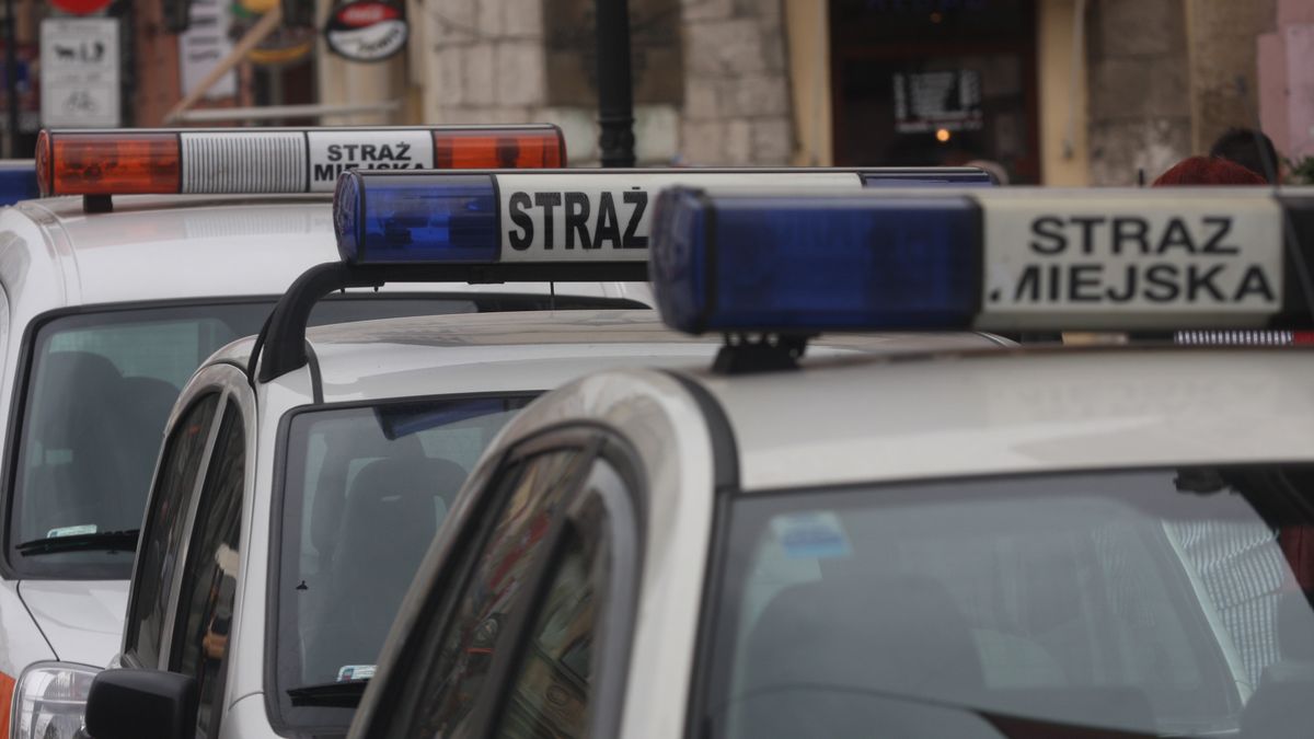Strażnicy zaparkowali na niebieskiej kopercie