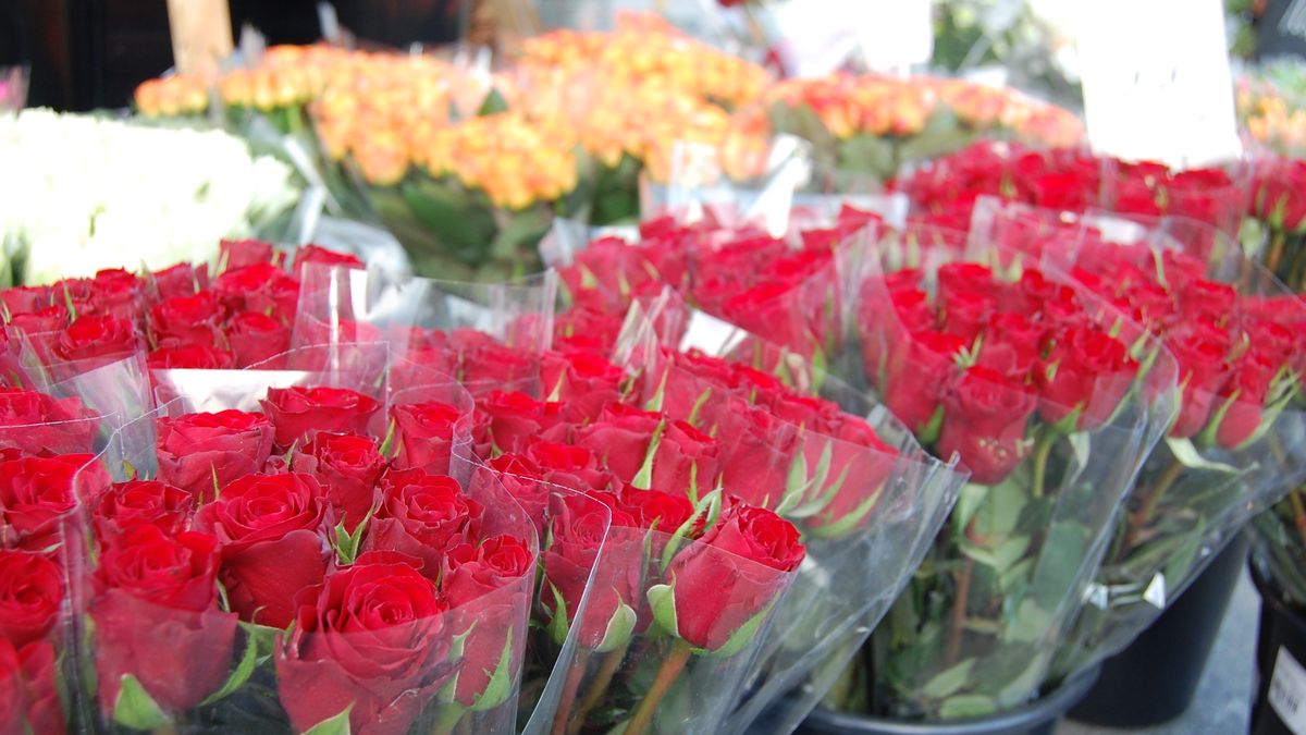 Tych kwiatów nie kupuj na walentynki