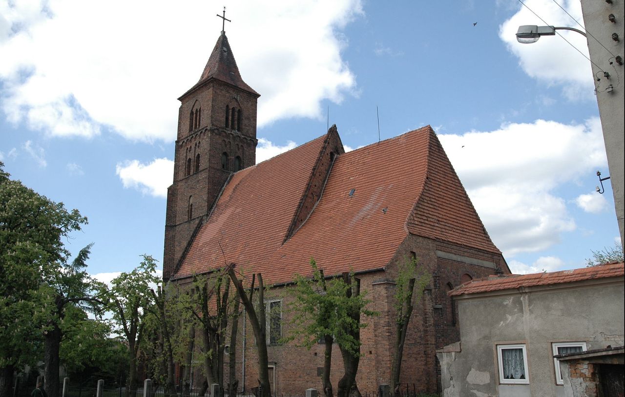 To nie złoty pociąg, ale też na Dolnym Śląsku. Co wykazał georadar?