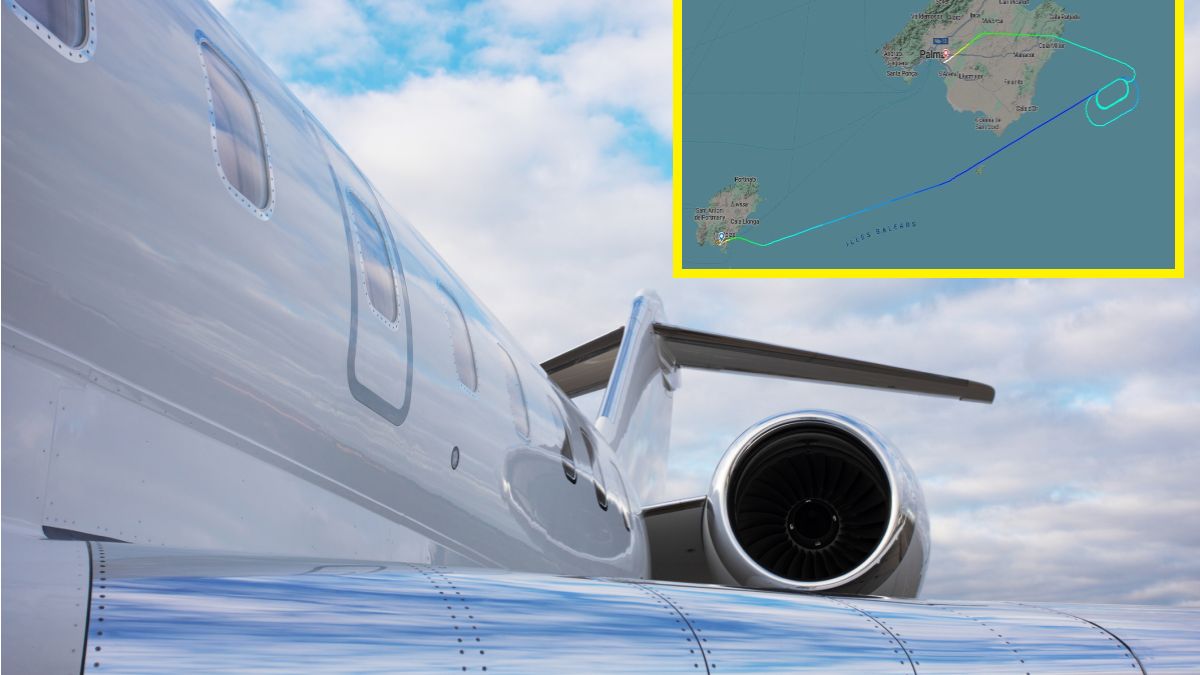 Ptak uderzył w szybę kokpitu