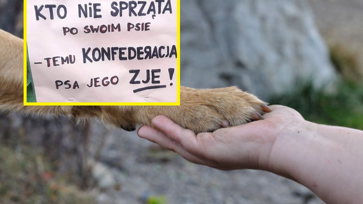 Nie milkną echa kontrowersyjnej wypowiedzi Natalii Jabłońskiej