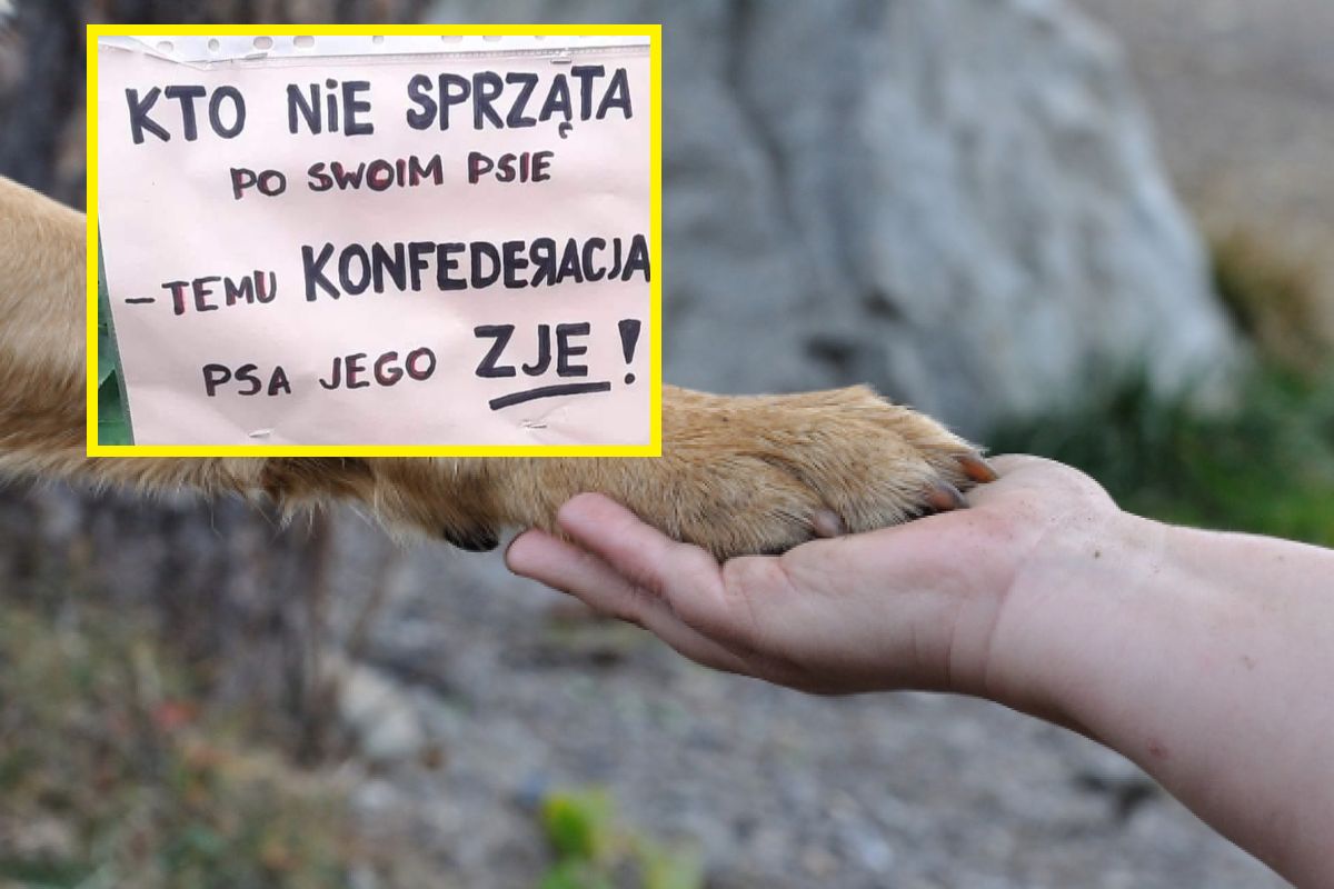 "Kto nie sprząta po swoim psie". Kartka z wrocławskiego osiedla podzieliła internautów