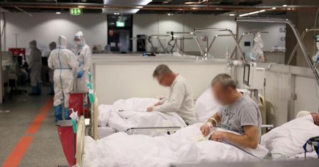 Małpia ospa budzi strach. Minister zdrowia reaguje i wprowadza...