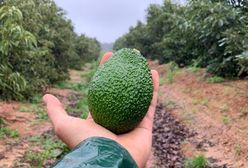 Hiszpania. Andaluzja zachwyca na każdym kroku