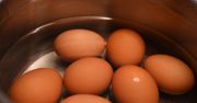 Jajka na miękko wyjdą idealne. Naukowcy podali przepis