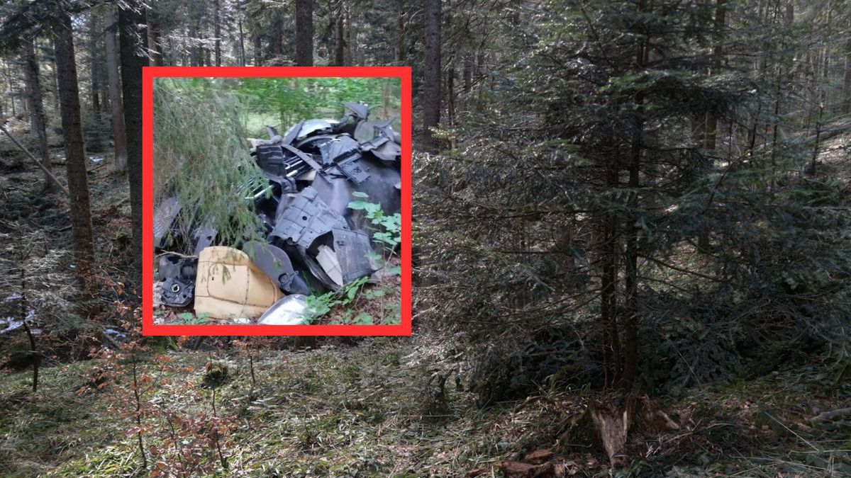 Śmieci w lesie pod Ełkiem. Sprawca ukarany i posprzątał teren