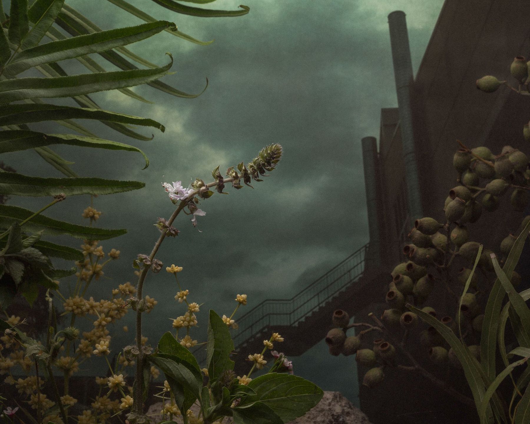 Dwóch Polaków wśród zwycięzców prestiżowego konkursu Magnum Photography Awards 2017 48